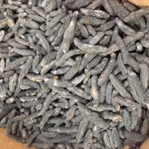 Dried Sea Cucumber
